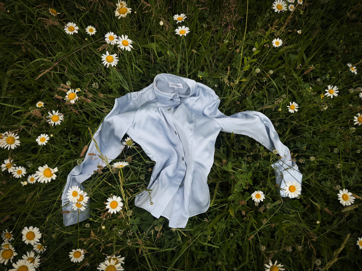 The Daisy
