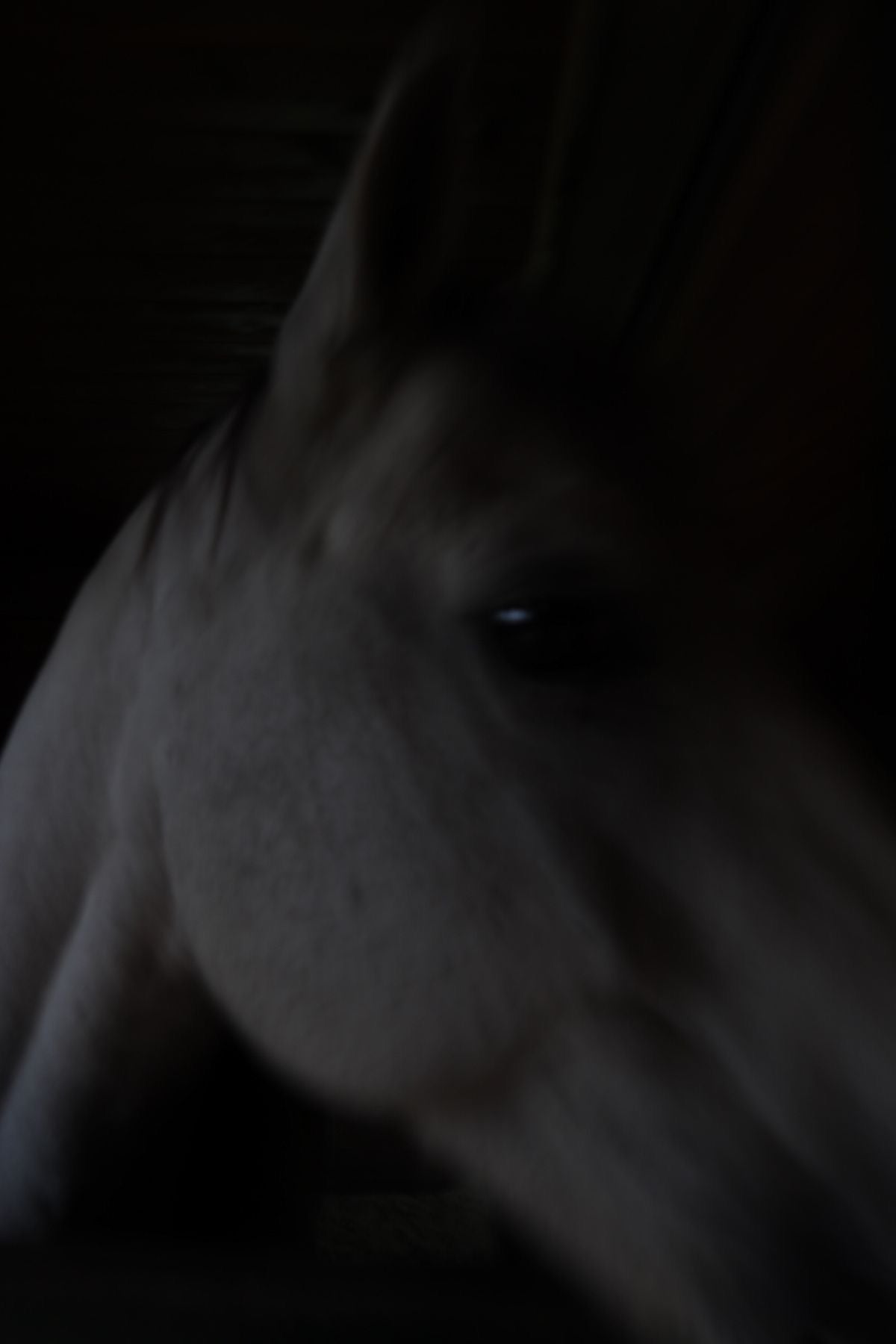 Long Sleeve Tee — Black