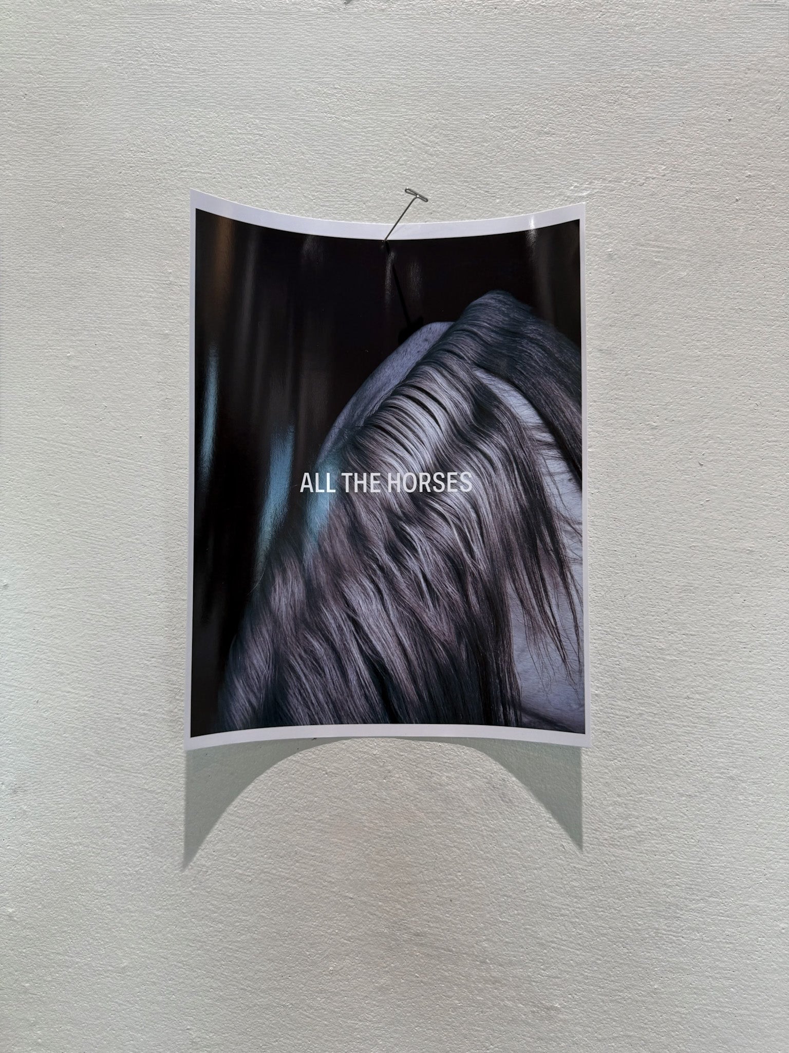 All The Horses launch homepage image